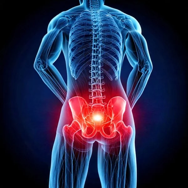 fit and perform vjezbe za kuk